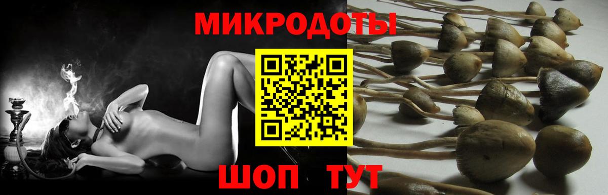 наркошоп  Псилоцибиновые грибы ЛСД  Вход с VPN  Галлюциногенные грибы Psilocybine cubensis  Пушкино 